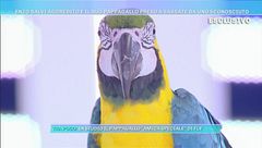 Enzo Salvi: "Ho subito un forte trauma"