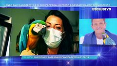 Fly e la sua amica speciale Xena