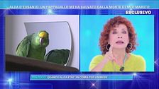 Alda D'Eusanio: un pappagallo mi ha salvato dalla morte di mio marito