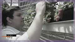 Immigrati: ecco chi ci guadagna