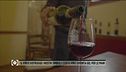 Così il vino diventa gel per le mani