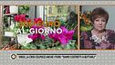Virus, gli effetti sul settore dei fiori