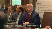 La Cina è responsabile della pandemia?