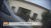 Troppi furbetti sul reddito di cittadinanza?