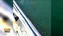 I migranti si tuffano dalla nave quarantena