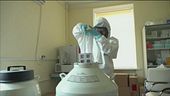 Vaccini a -80 gradi: mancano i freezer?