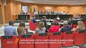 La lacunosa narrazione di Viola Giorgini