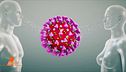 Virus story
