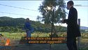 Giallo Caronia, la collina degli animali