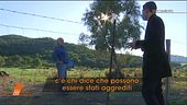 Giallo Caronia, la collina degli animali