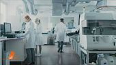 Covid, l'immunità nella cellula T