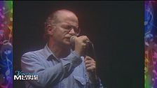 Gino paoli in concerto 1982