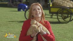 Puntata del 2 novembre