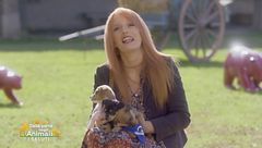 Puntata del 29 novembre