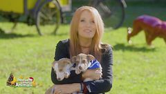 Puntata del 27 dicembre