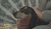 La nuova vita di Peppino
