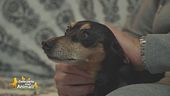 La nuova vita di Peppino