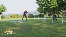 La filosofia dell'Hoopers Agility