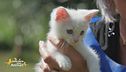 Casper
