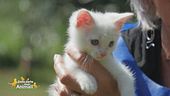 Casper