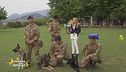 I cani eroi dell'esercito italiano