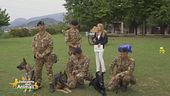 I cani eroi dell'esercito italiano