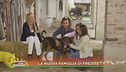 L'adozione di Freddie