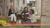 L'adozione di Freddie