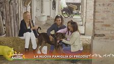 L'adozione di Freddie