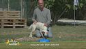 Volontari per amore