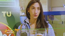 I giochi preferiti dai vostri quattro zampe