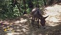 Alla scoperta del parco Abatino