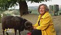 La fattoria degli animali piccoli... e strani