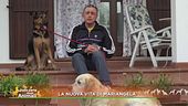 La nuova vita di Mariangela
