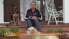 La nuova vita di Mariangela