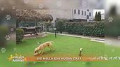 Sid nella sua nuova casa