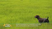 Monitoraggio e conservazione della fauna e della natura