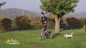Dog Human Fitness