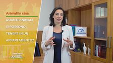 Quanti animali si possono tenere in un appartamento?