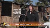 La fattoria di Rebecca