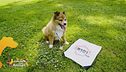 Le notizie dal mondo con Lucky