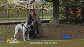 Volontari per amore