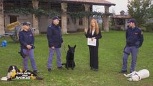 La squadra cinofila di Genova