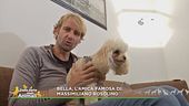 Bella, l'amica famosa di: Massimiliano Rosolino