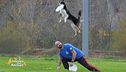 Il disc dog