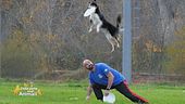 Il disc dog