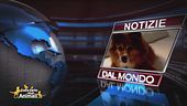 Notizie dal mondo