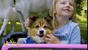 Le notizie dal mondo e i vostri video con Lucky