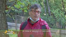 Di cosa è geloso il tuo cane?