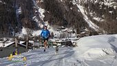 Il cani-cross